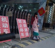 动物也有神作,毫无违和感的巧合