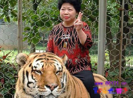 中国大妈已统治地球