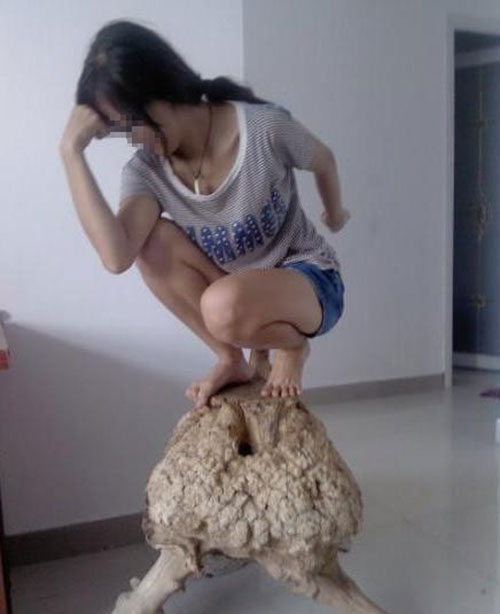 世界上有女神有女屌，而你也许只是个神屌