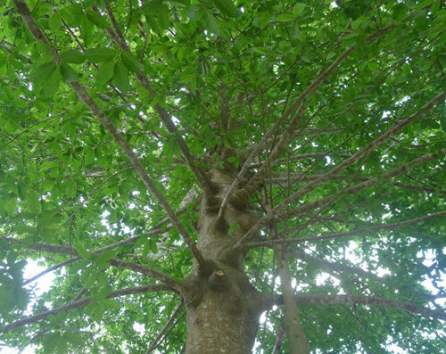 古代九大毒药,送给你不爱你的人