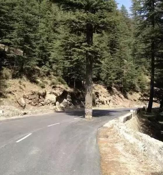 看完这20张印度的图片,感觉已经无法正常生活了