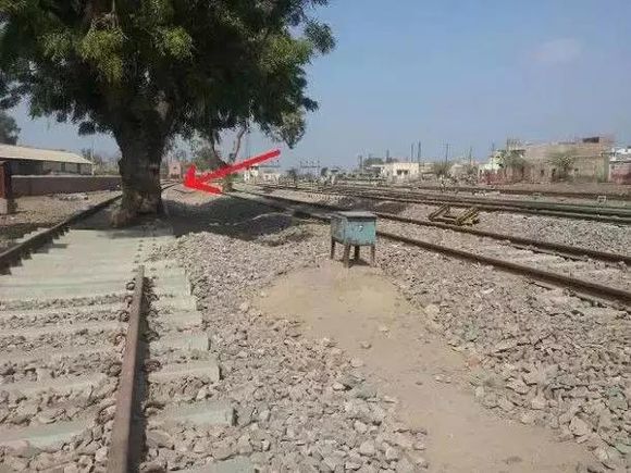 看完这20张印度的图片,感觉已经无法正常生活了