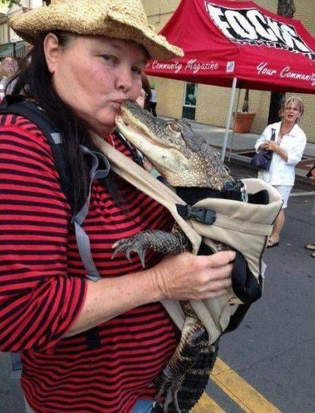 不正常的人生，奇葩事情天天有