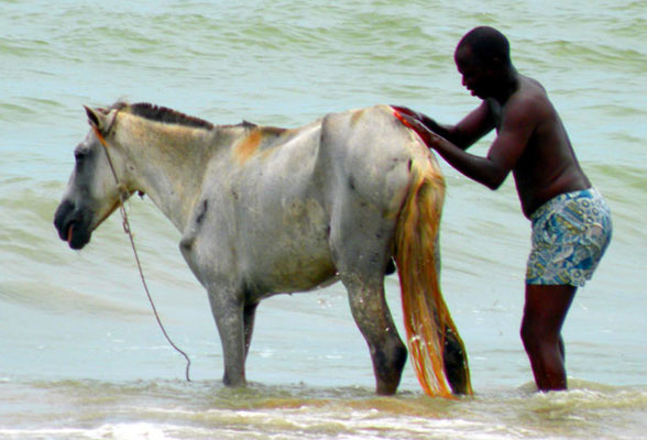 拍马屁的十重境界,快来测试你的道行有多高