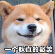 10句反鸡汤语录调侃人生,搞笑还是讽刺