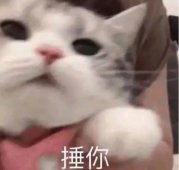 张雪峰的经典语录说的是什么虎狼之词