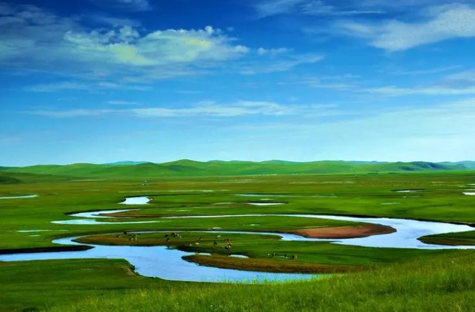 关于草原的散文:风吹草低见牛羊