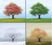 关于四季的散文:四季交替,万象更新