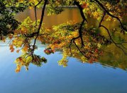 描写南方的秋天的散文欣赏:南方的秋,轻柔