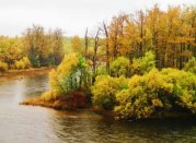 描写北方的秋天的散文欣赏:浓墨重彩的秋