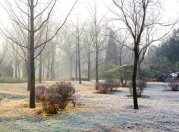 描写初冬的散文欣赏:初冬是优美的诗篇