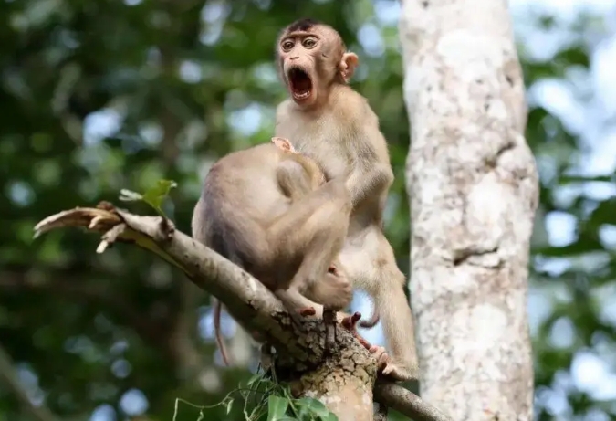 吸引人的搞笑反转句子