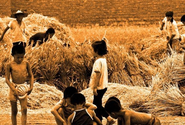 关于80后的散文600字