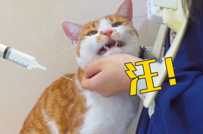 心灵鸡汤不会告诉你结局的故事