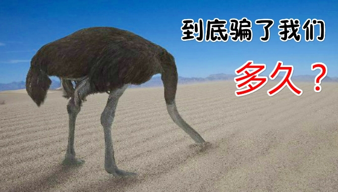 鸵鸟为什么遇危险就把头埋沙子里
