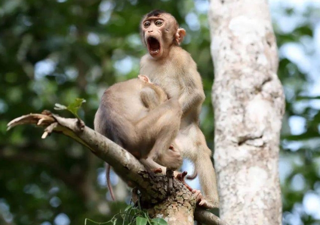 心灵鸡汤反面故事大道理