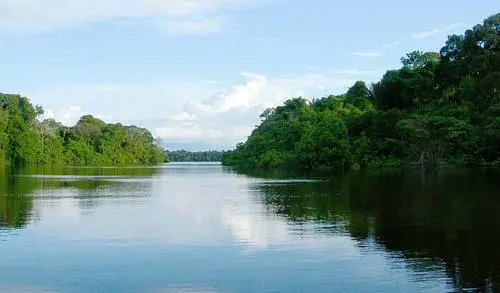 描写亚玛逊河的散文