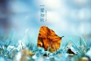关于描写立秋的唯美散文诗,一叶知秋