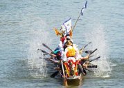 关于端午节的唯美散文,千帆竞渡粽飘香